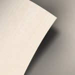 Clavus W198