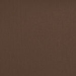 Pictis Mud PW106