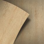 Calidum WD307 (SPW17)