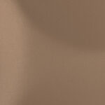 Truffle SC161
